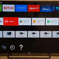 SmartTV Sony Bravia 50 pollici FullHD