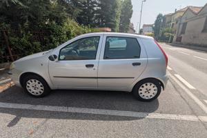 punto grigia