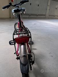Bicicletta bambina 20 pollici