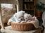 Immagine 25