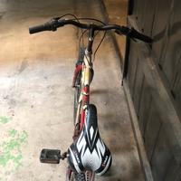 Bicicletta Gitan bambino 24