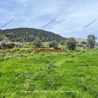 Terreno, Calatafimi Alta - Molara - Villa Tasca, P