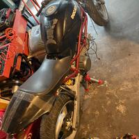 Ducati monster 600 carburatori