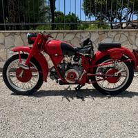 Moto Guzzi Airone Sport 250 1953