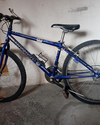 Mountain bike