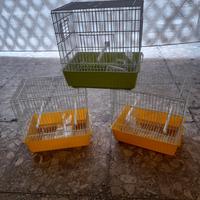 Nidi nuovi e gabbietta nuove