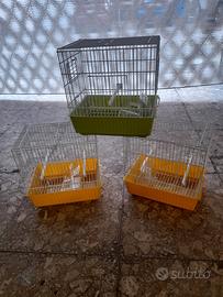 Nidi nuovi e gabbietta nuove