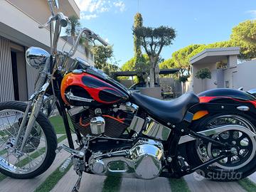 Harley Springer