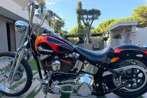 Harley Springer