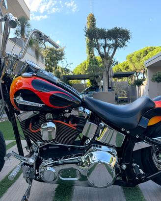 Harley Springer
