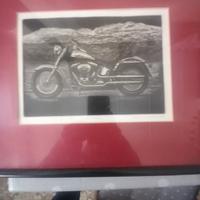 quadri grafica harley davidson