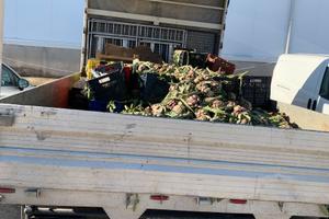 IVECO Daily 1997 – PER PEZZI COMPLETA