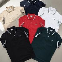 Piccoli lotti di polo lacoste per la rivendita