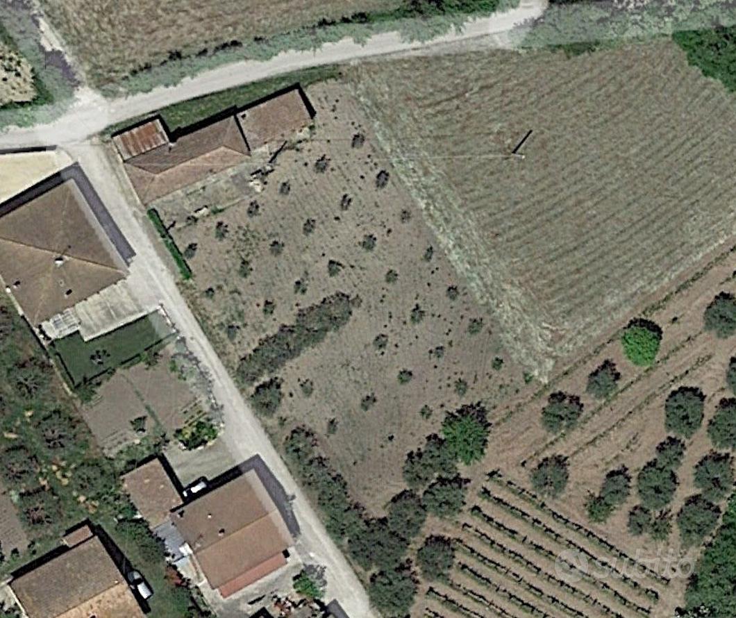 Casolare di campagna con uliveto in Ariano irpino - Vista 4