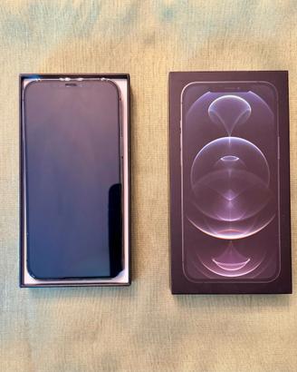 iPhone 12 Pro Max 256 GB – Perfette condizioni