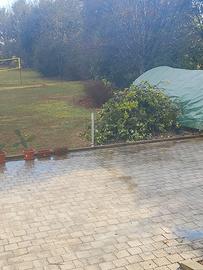 Ramaglie Lauroceraso x compost e pacciamatura