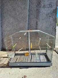 vogliera per uccelli