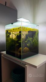 Acquario 30 L
