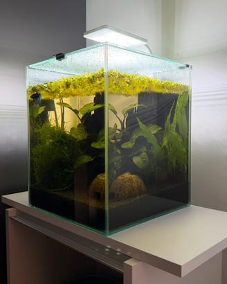 Acquario 30 L