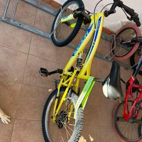 Bici bimbo e adulto varie misure Bianchi