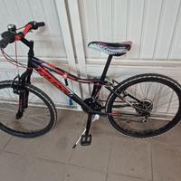 bici Vicini 