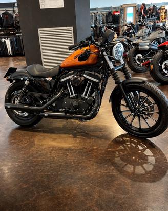 Harley-Davidson 883 IRON