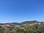 Immagine 8