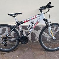 MTB 24