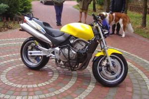 Protezione Crash Cage Honda Hornet 600 1998 - 2006