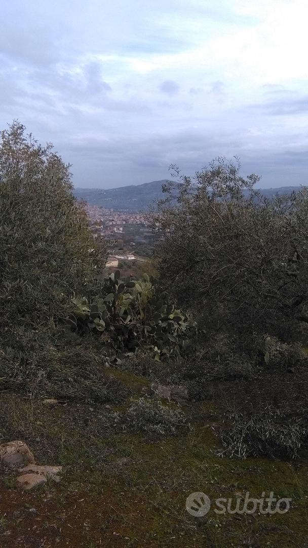 uliveto - Vista 5