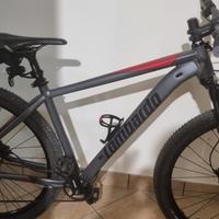 MTB 29