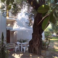 Villa degli ulivi - 6 posti letto, 5 min. dal mare