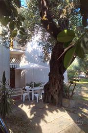 Villa degli ulivi - 6 posti letto, 5 min. dal mare