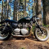 Triumph bonneville 865 carburatori