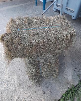 ballette di fieno 