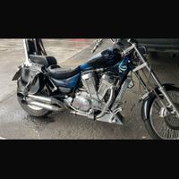 Ricanbi VS 800 intruder