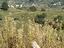 Immagine 23