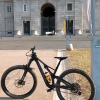 stumpjumper carbone 