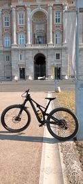 stumpjumper carbone 