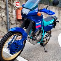 Honda nx 650 dominator