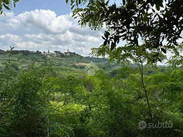 TER. AGRICOLO A TERRICCIOLA