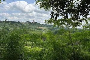 TER. AGRICOLO A TERRICCIOLA