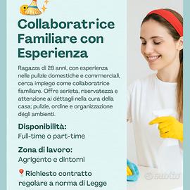 Collaboratrice familiare (Domestica)