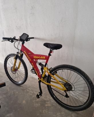 Mountain bike