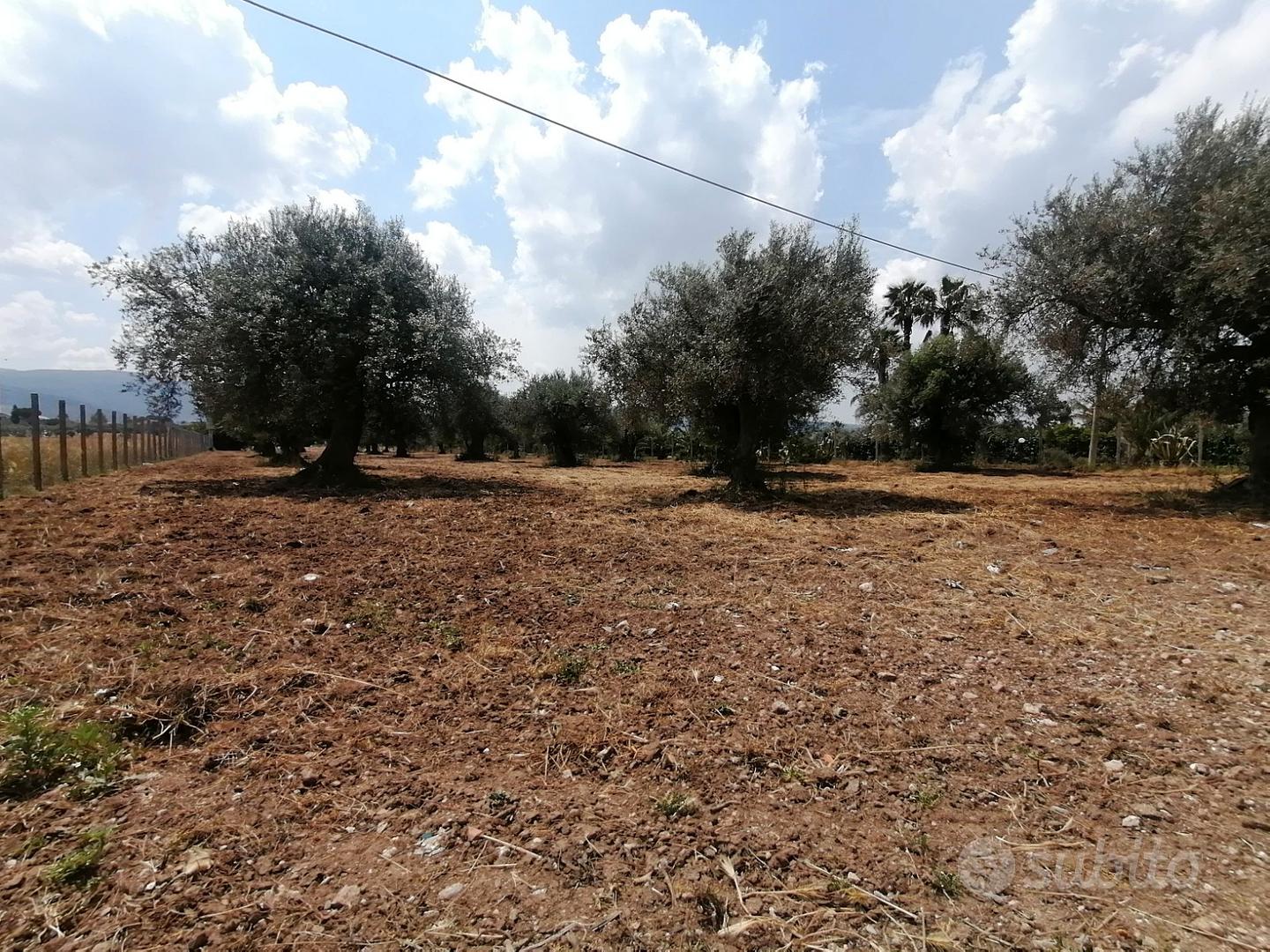 Terreno "CS" in c.da Billona - Comiso Rif. T293 - Vista 2
