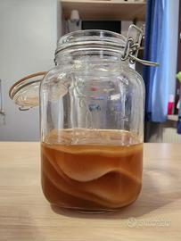 Kombucha scoby
