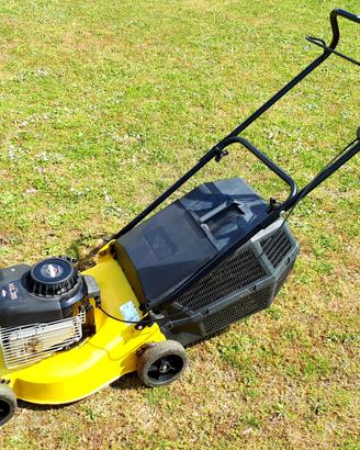 Rasaerba motore Briggs & Stratton Classic XC35 