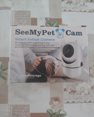 pet cam 