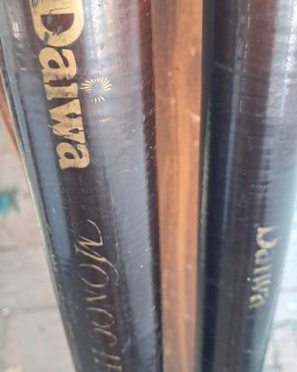 2 canne fisse daiwa monocarbon.