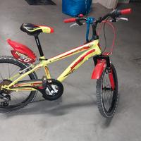 Bicicletta raggio 20